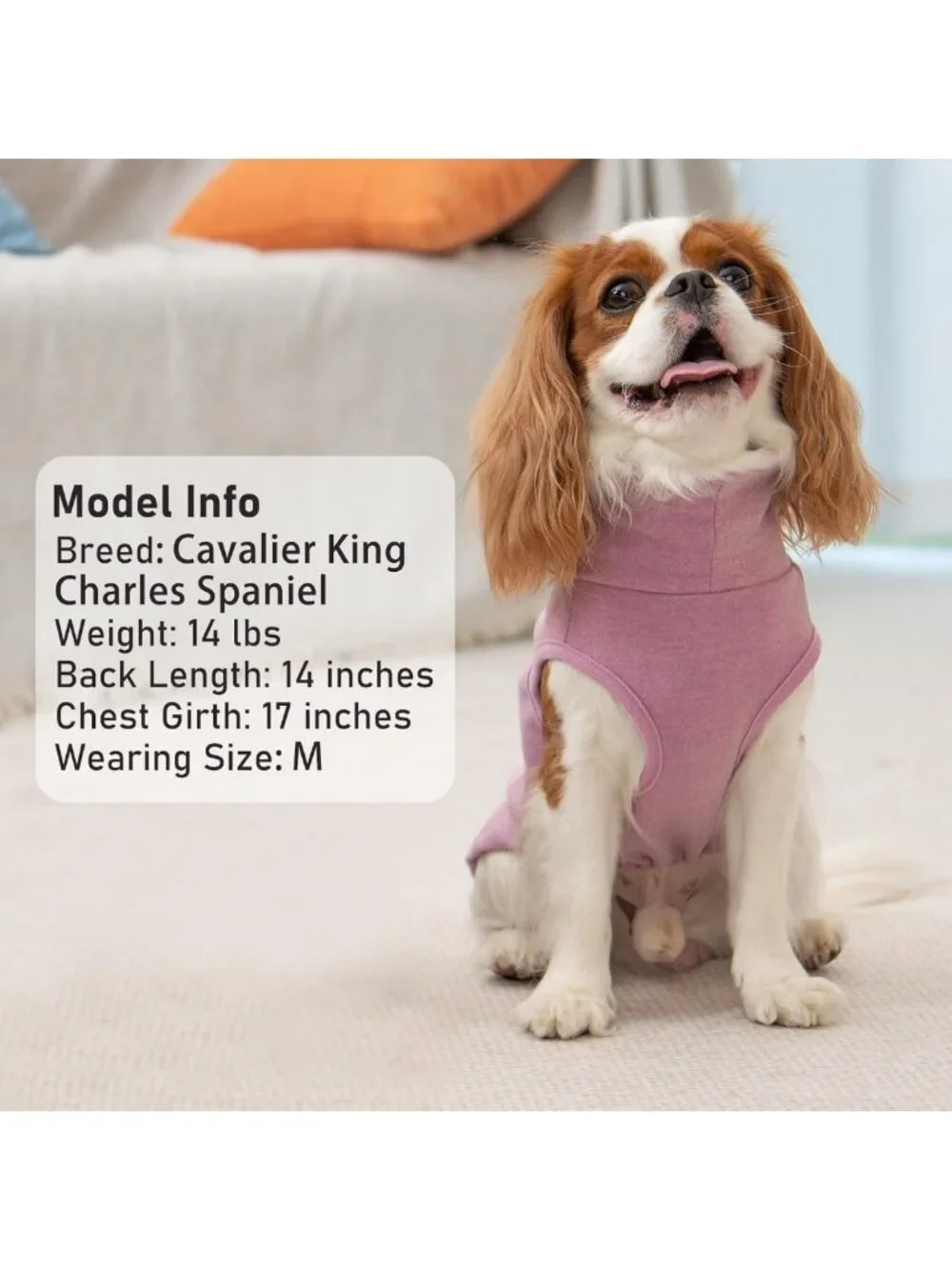 Cozy Turtleneck Dog Sweater - 2 Pack Soft Warm Pullover for Small Pets, Stretchy